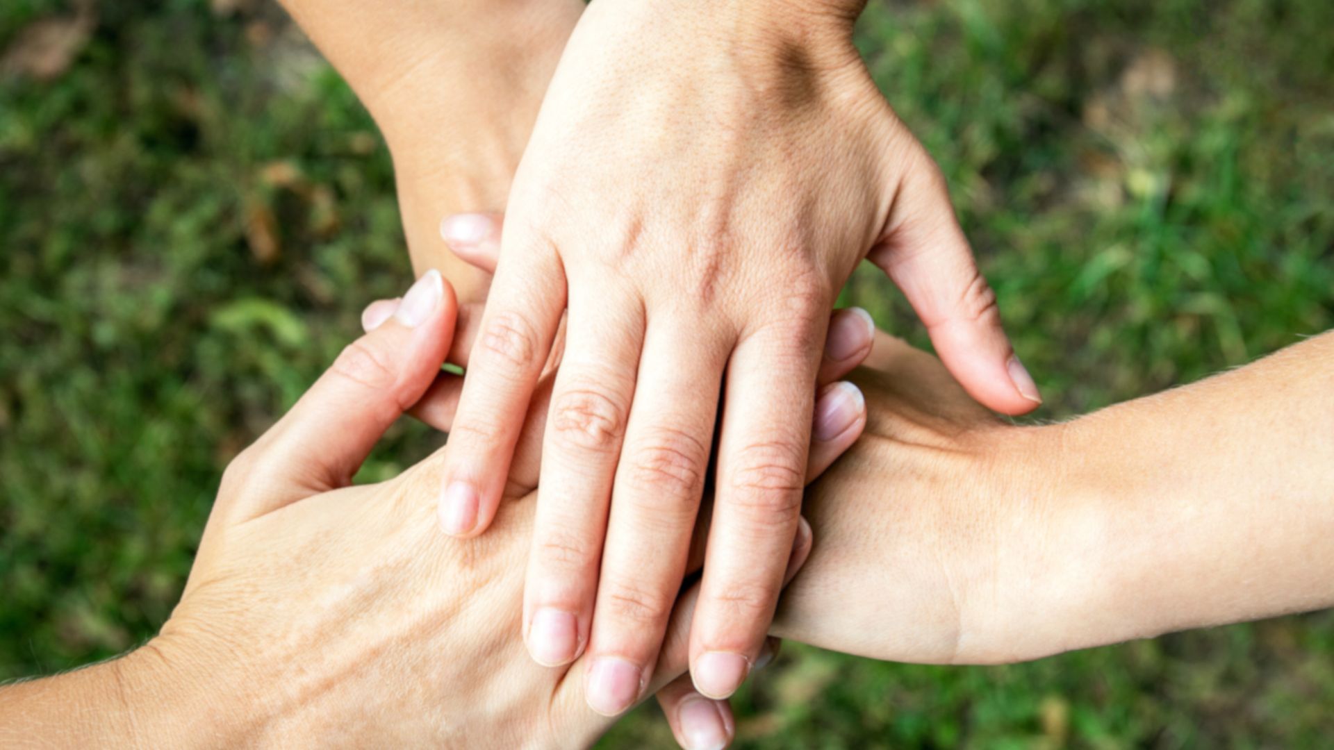 xr:d:DAF9fiGm6MU:125,j:7325528689422840547,t:24040507