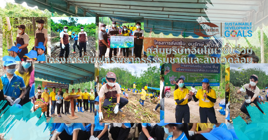 กลุ่มบริษัทอินโนเวชั่นร่วมโครงการฟื้นฟูทรัพยากรธรรมชาติและสิ่งแวดล้อม